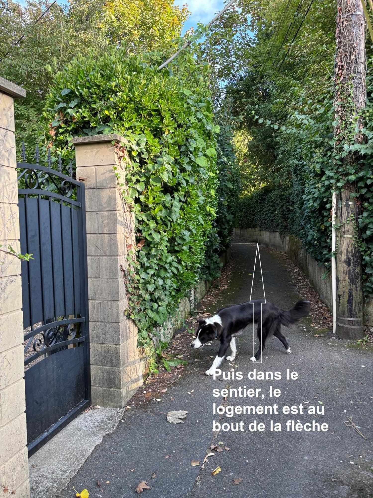 Merig'Home Chambre Bd Climatisee Dans Maison Avec Piscine Au Calme En Ville, Sdb & Toilettes Prives Angoulême Buitenkant foto